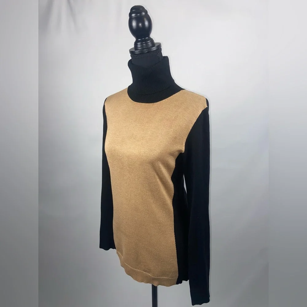The Limited turtleneck sweater